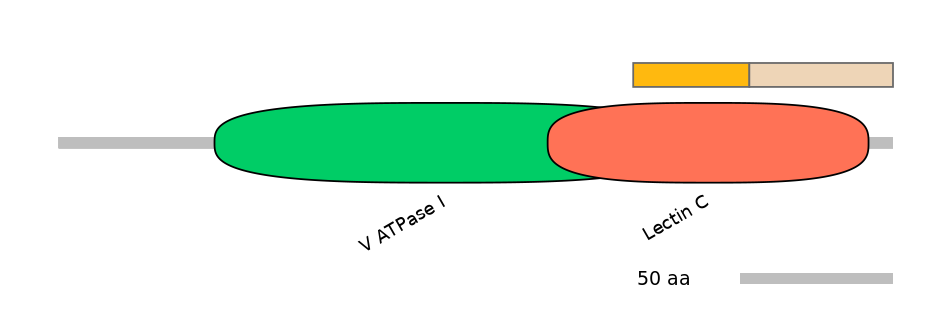 HsaINT0118199-EXC