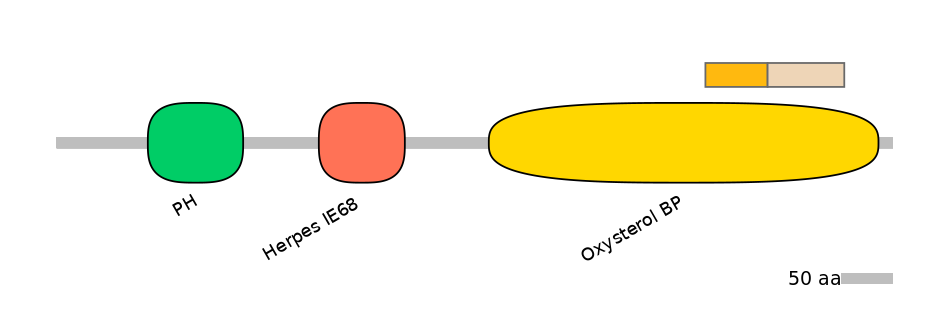 HsaINT0118538-EXC