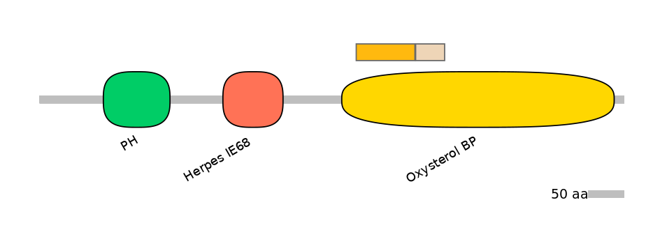 HsaINT0118546-EXC