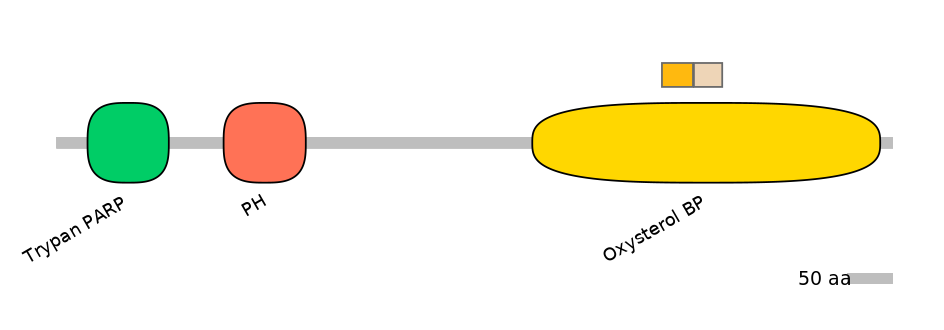 HsaINT0118549-EXC