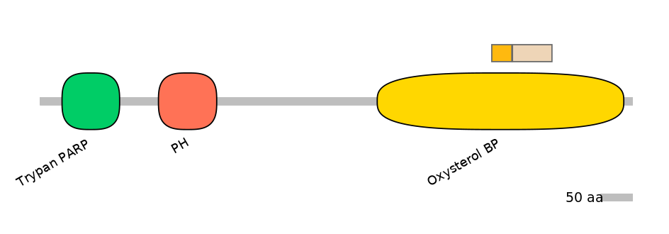 HsaINT0118550-EXC