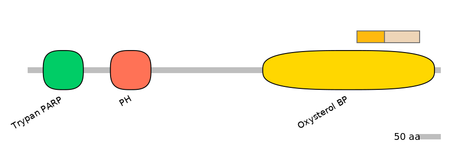 HsaINT0118551-EXC