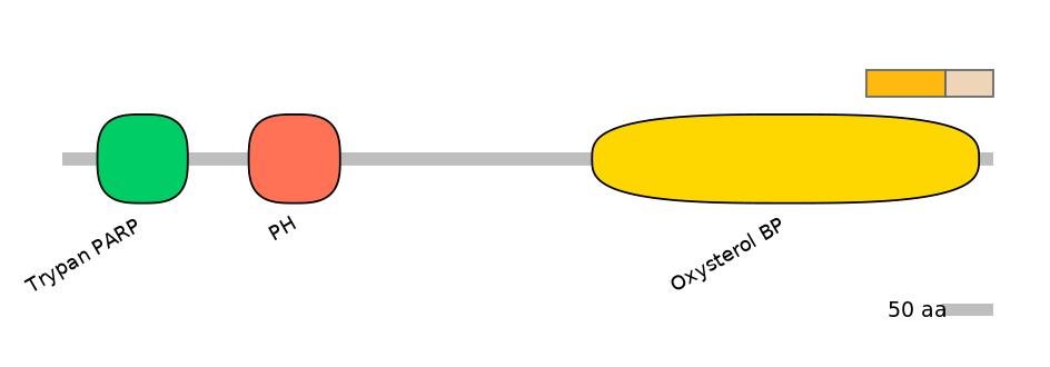 HsaINT0118552-EXC