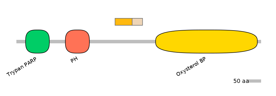HsaINT0118555-EXC