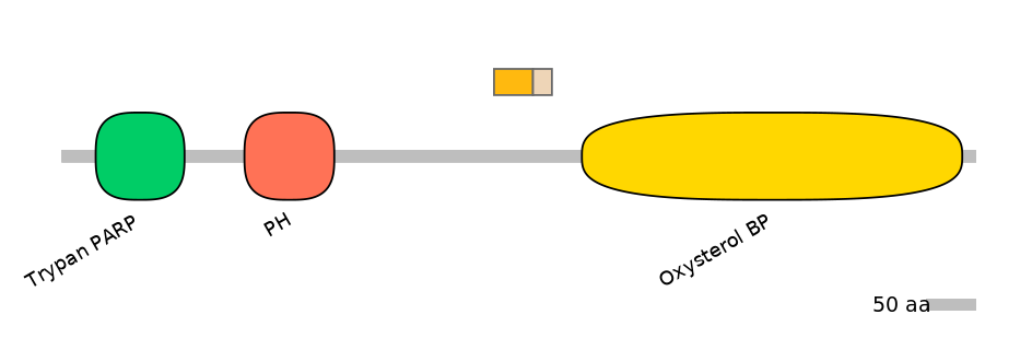 HsaINT0118556-EXC