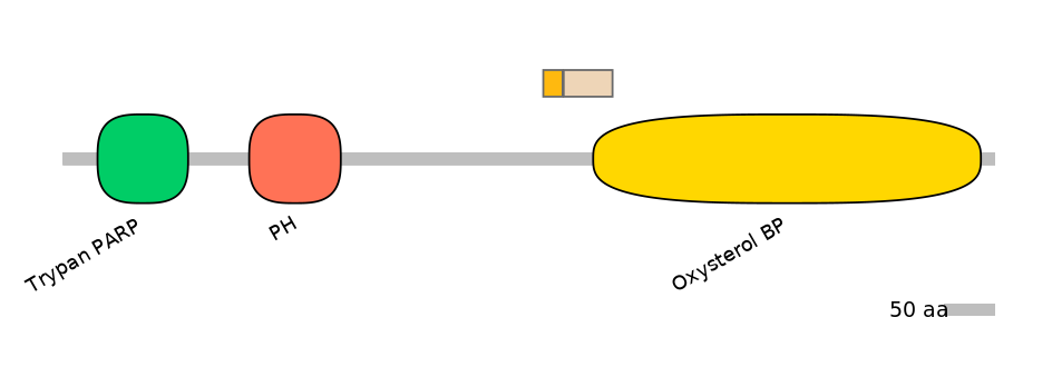 HsaINT0118557-EXC