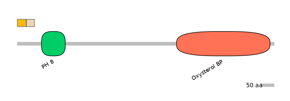 HsaINT0118675-EXC