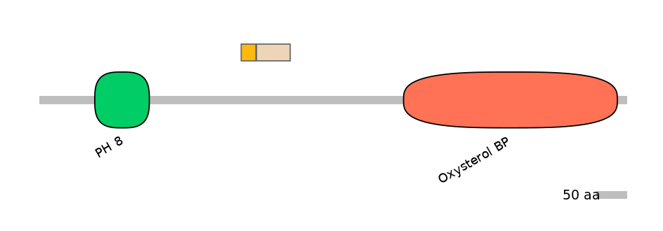 HsaINT0118677-EXC