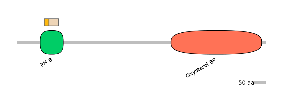 HsaINT0118693-EXC