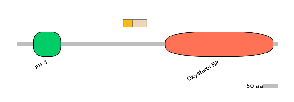 HsaINT0118702-EXC