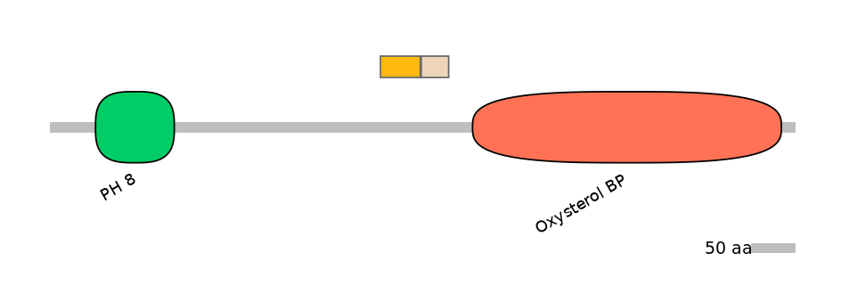 HsaINT0118703-EXC