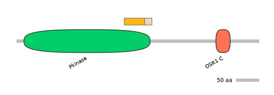 HsaINT0119205-EXC