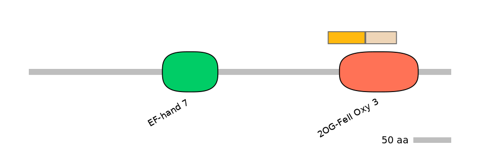 HsaINT0119375-EXC