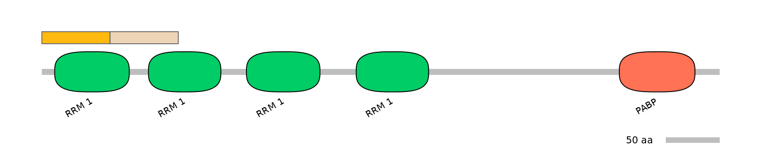 HsaINT0119400-EXC