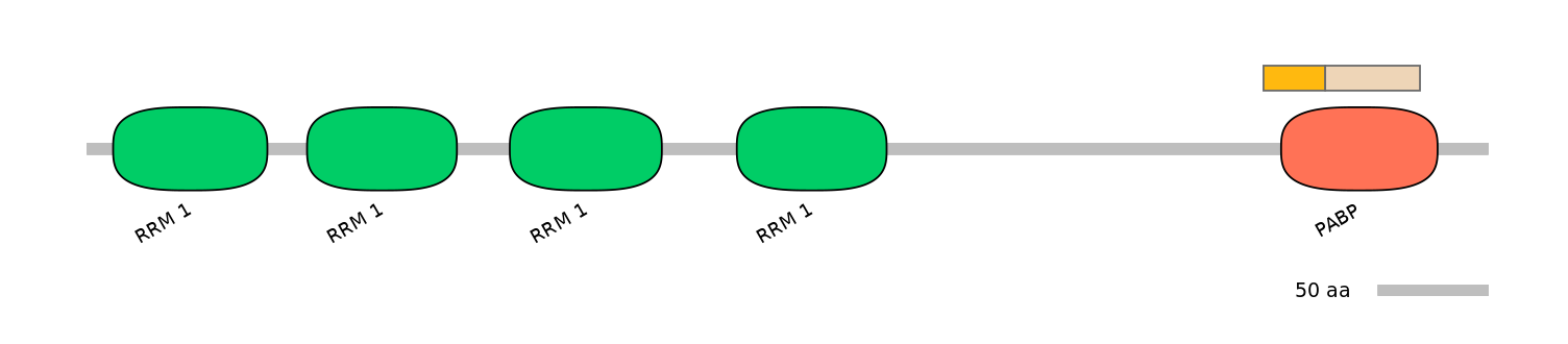 HsaINT0119403-EXC