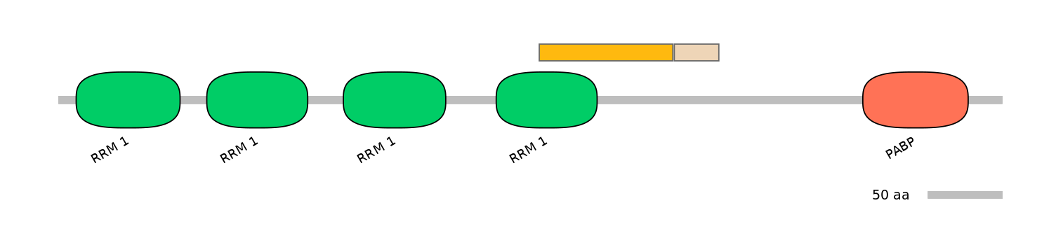 HsaINT0119412-EXC