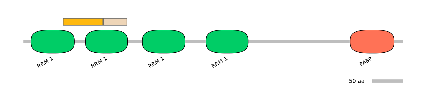 HsaINT0119420-EXC