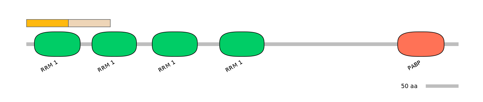 HsaINT0119428-EXC