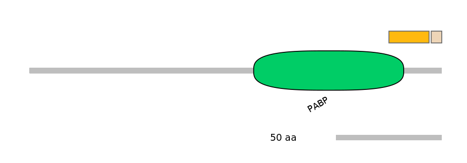 HsaINT0119434-EXC