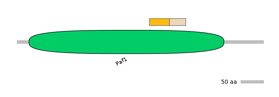 HsaINT0119631-EXC