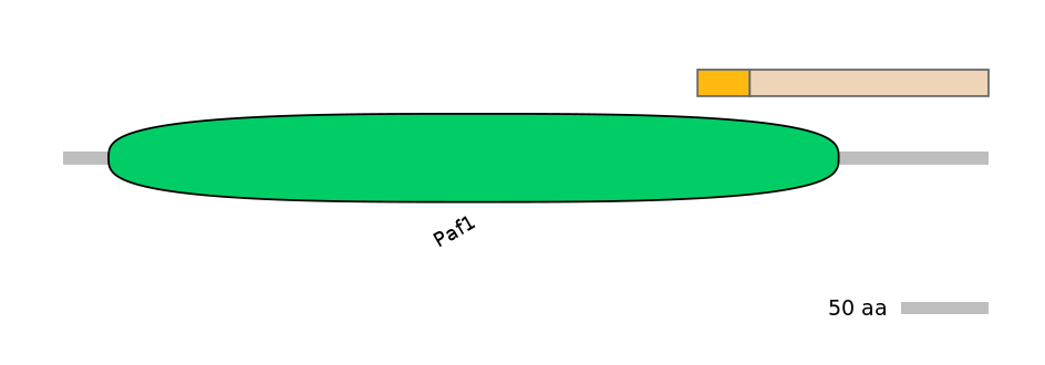 HsaINT0119633-EXC