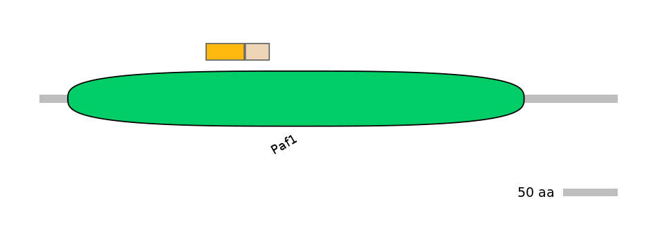 HsaINT0119639-EXC
