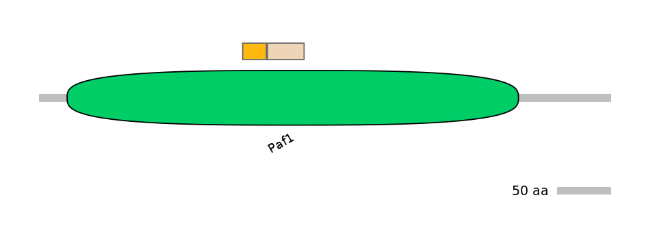 HsaINT0119640-EXC