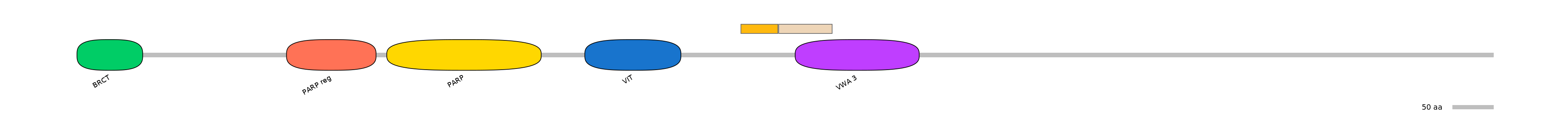 HsaINT0120508-EXC