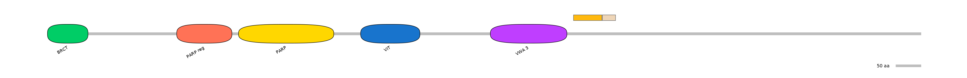 HsaINT0120513-EXC