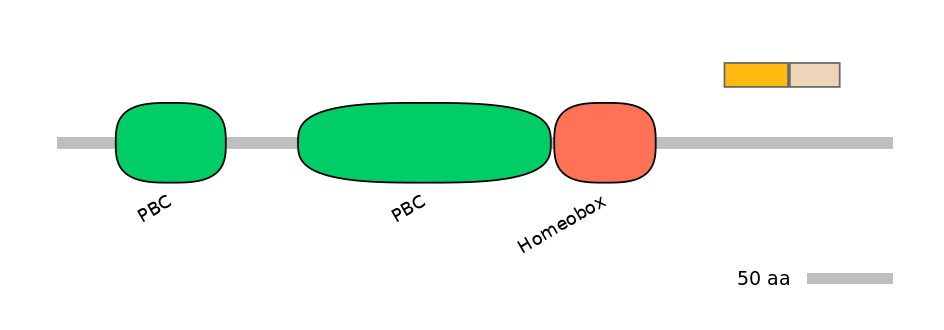 HsaINT0120862-EXC