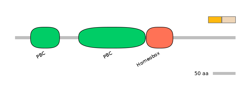 HsaINT0120863-EXC
