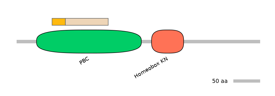 HsaINT0120865-EXC