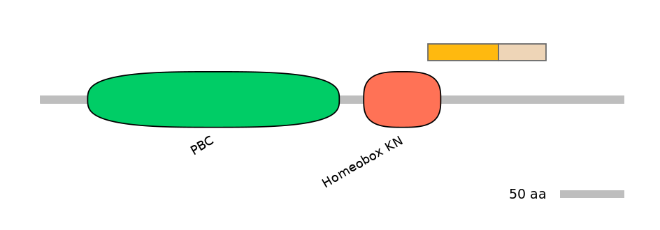 HsaINT0120867-EXC