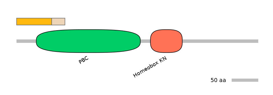 HsaINT0120869-EXC