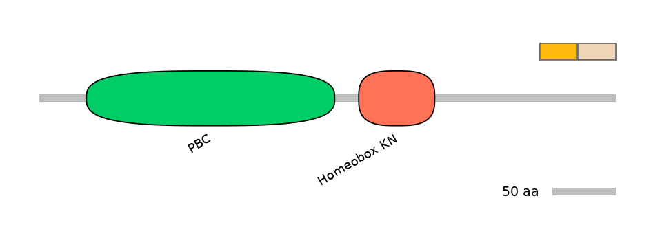 HsaINT0120874-EXC