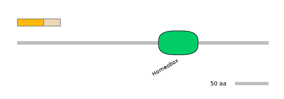 HsaINT0120875-EXC