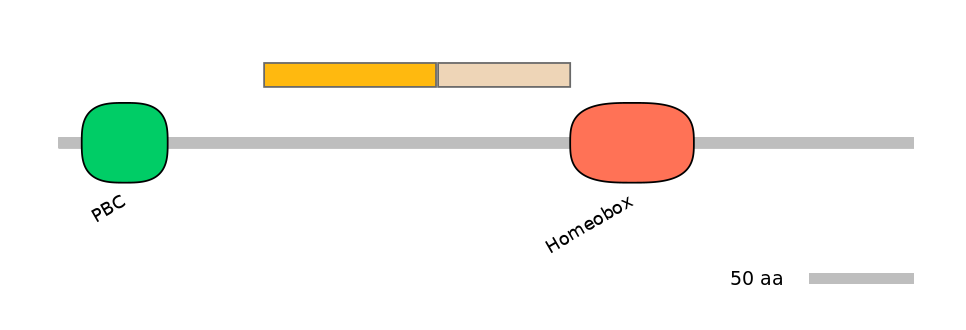 HsaINT0120877-EXC