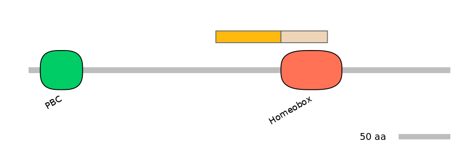 HsaINT0120878-EXC