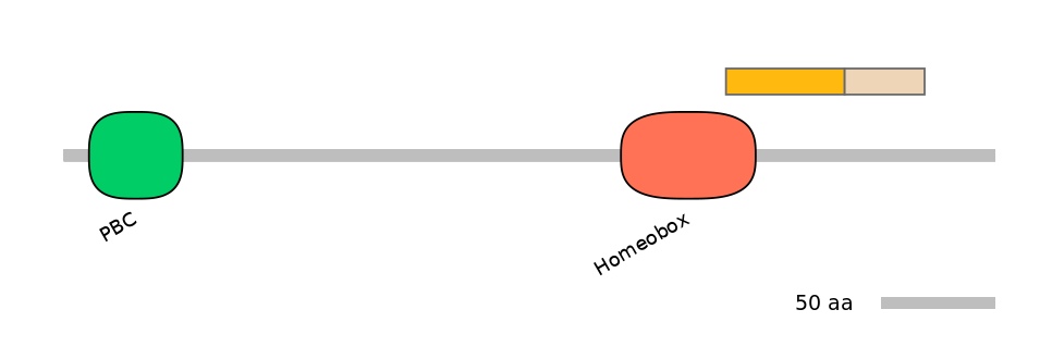 HsaINT0120880-EXC