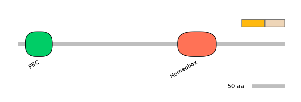 HsaINT0120881-EXC