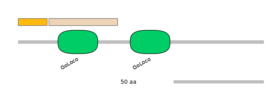 HsaINT0121527-EXC