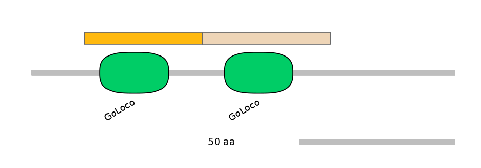 HsaINT0121528-EXC