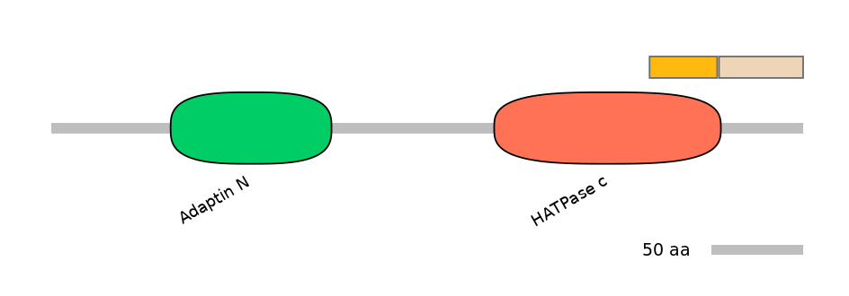HsaINT0122538-EXC