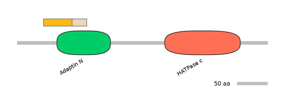 HsaINT0122539-EXC