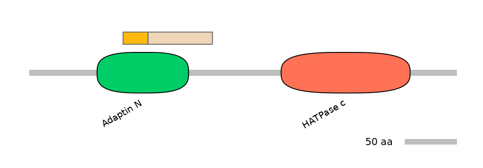 HsaINT0122540-EXC