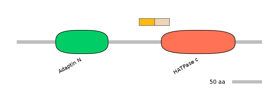 HsaINT0122543-EXC