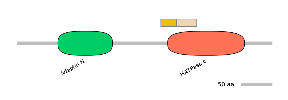 HsaINT0122544-EXC
