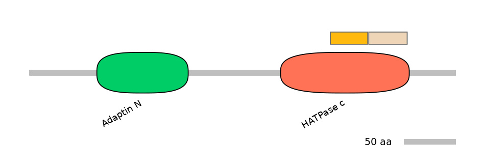 HsaINT0122546-EXC