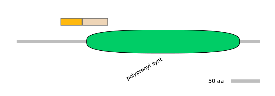 HsaINT0122723-EXC