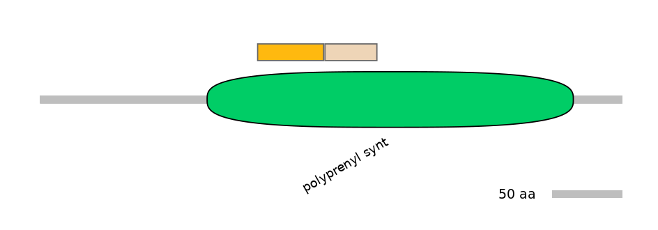 HsaINT0122725-EXC